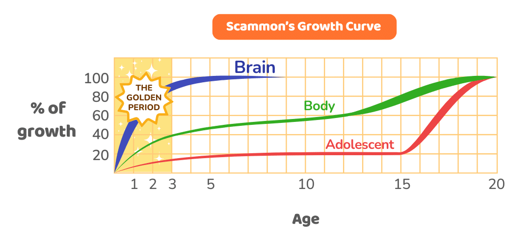 A growth curve graph for a child, showing the relationship between age and height development